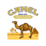 Camel