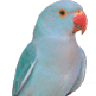 Jos